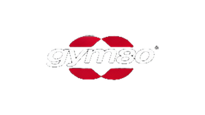 gym80