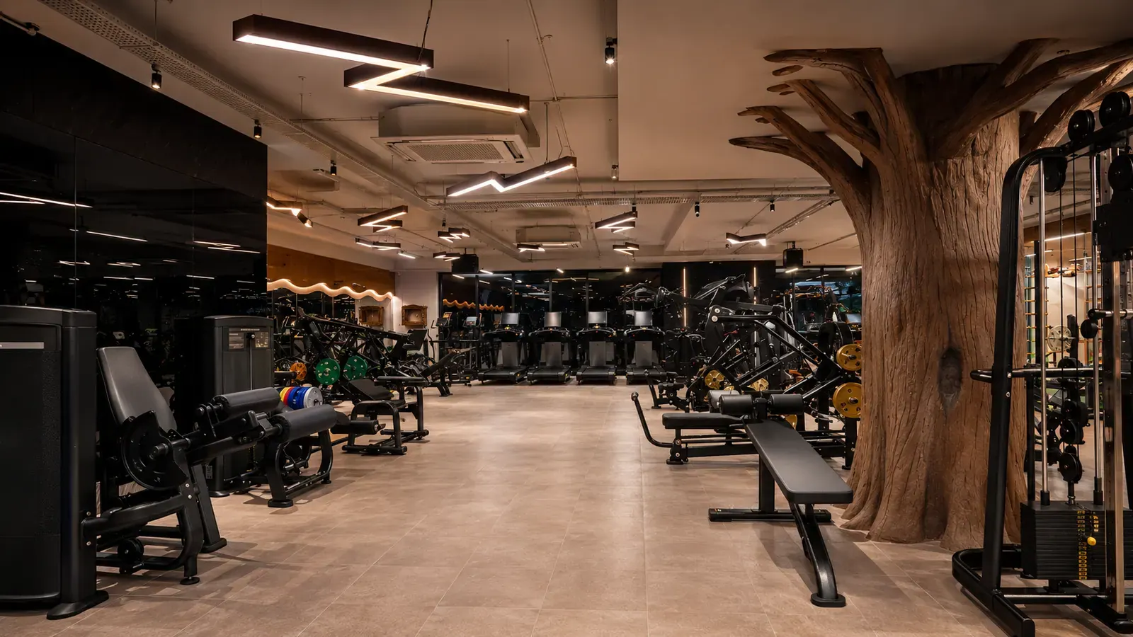 HIIT or strength training: which is better for fat loss?