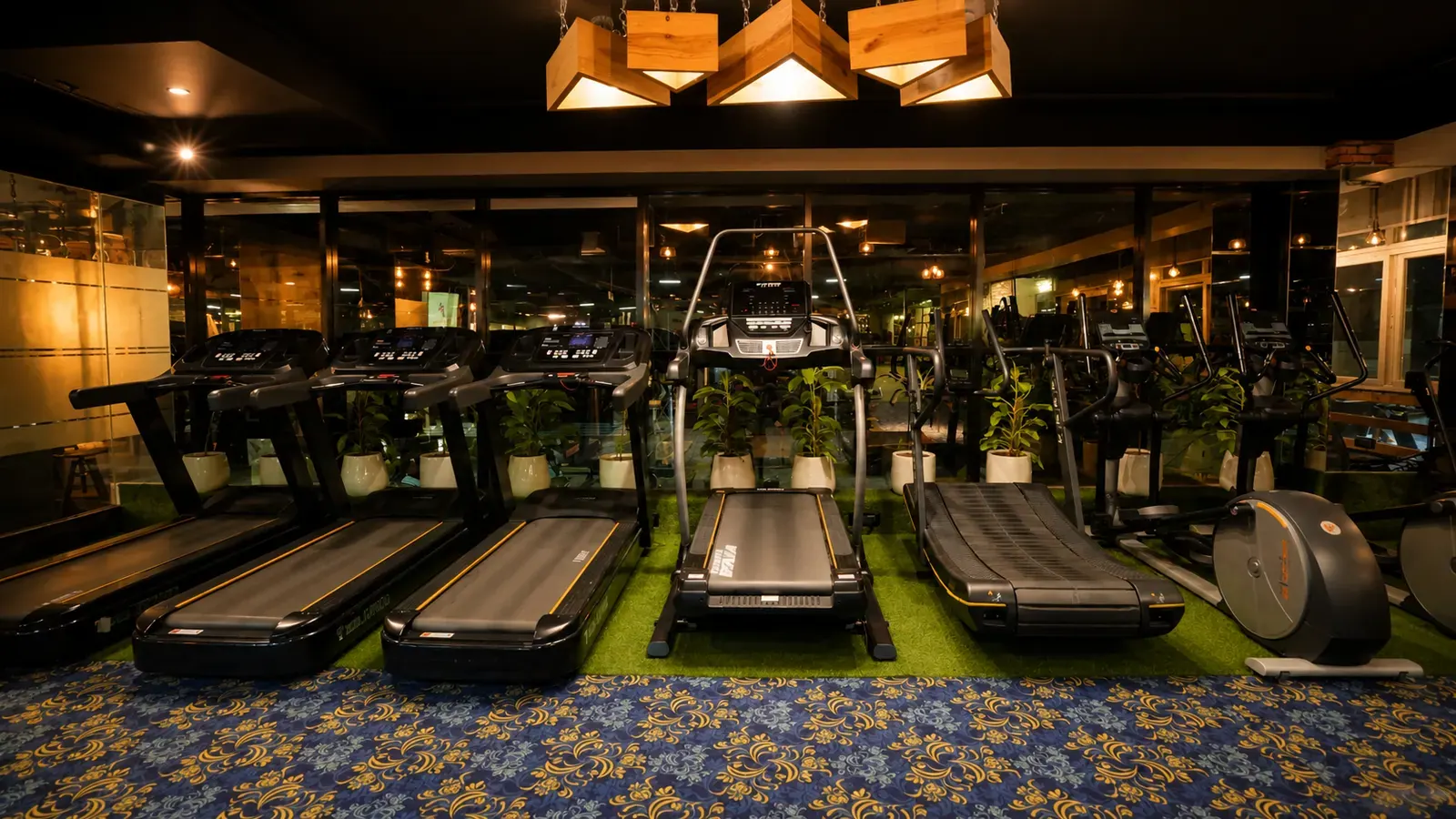 How many days a week should a beginner go to the gym?